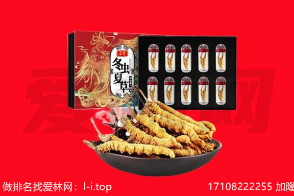 敦化市回收虫草.jpg